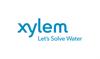 xylem